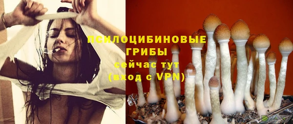 первитин Дмитров